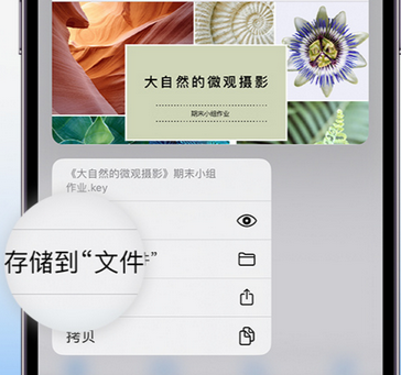 沁源apple维修中心分享iPhone文件应用中存储和找到下载文件