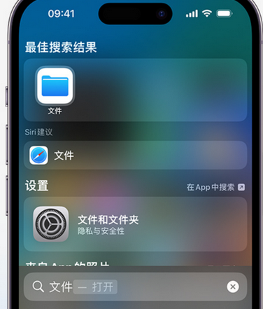 沁源apple维修中心分享iPhone文件应用中存储和找到下载文件