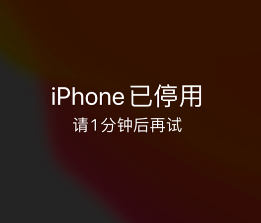 沁源苹果手机维修分享:iPhone 显示“不可用”或“已停用”怎么办？还能保留数据吗？ 