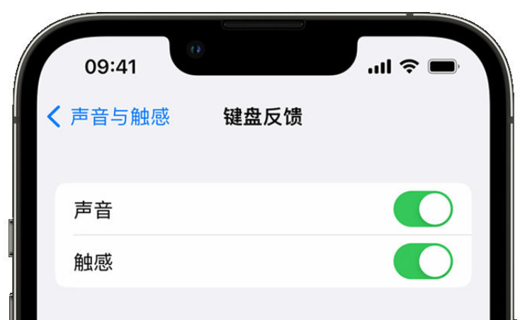 沁源苹果手机维修分享iPhone 14触感键盘使用方法 