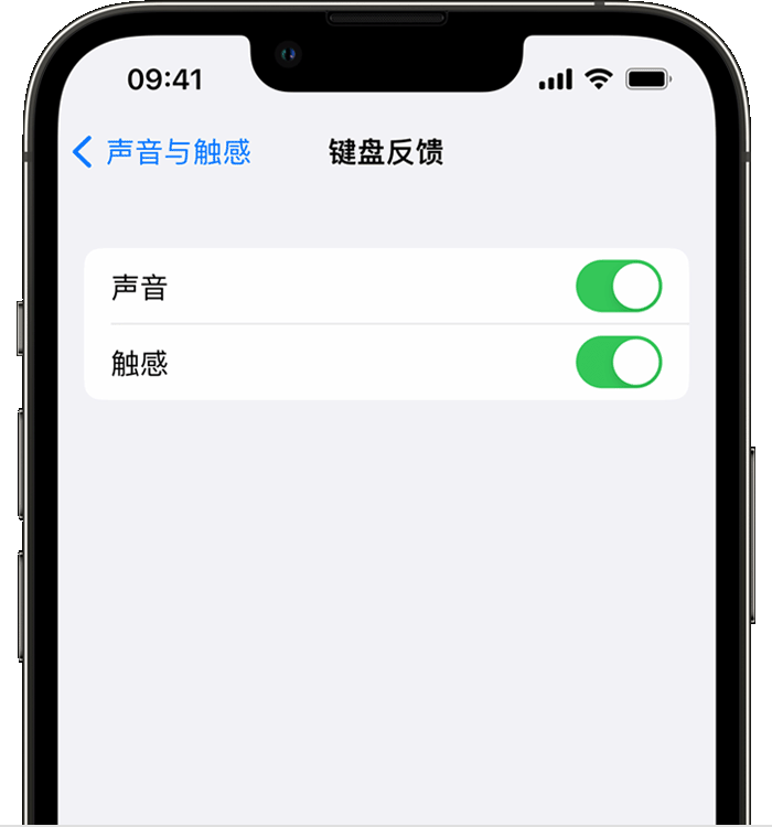 沁源苹果14维修店分享如何在 iPhone 14 机型中使用触感键盘 