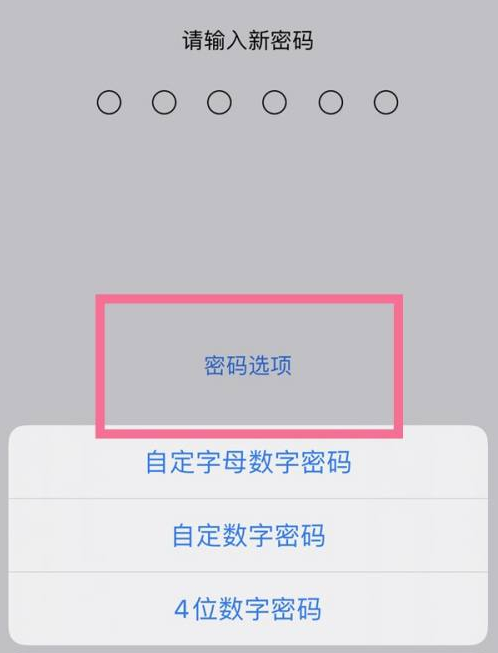 沁源苹果14维修分享iPhone 14plus设置密码的方法 