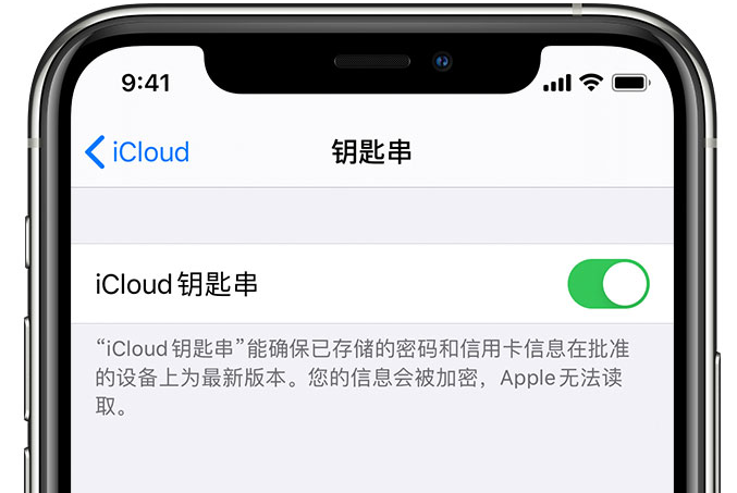 沁源苹果手机维修分享在 iPhone 上开启 iCloud 钥匙串之后会储存哪些信息 